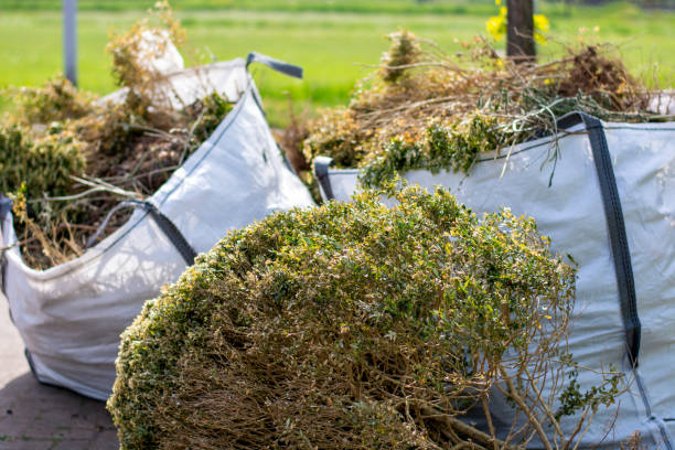 Best Basement Cleanout Services  in Brandermill, VA